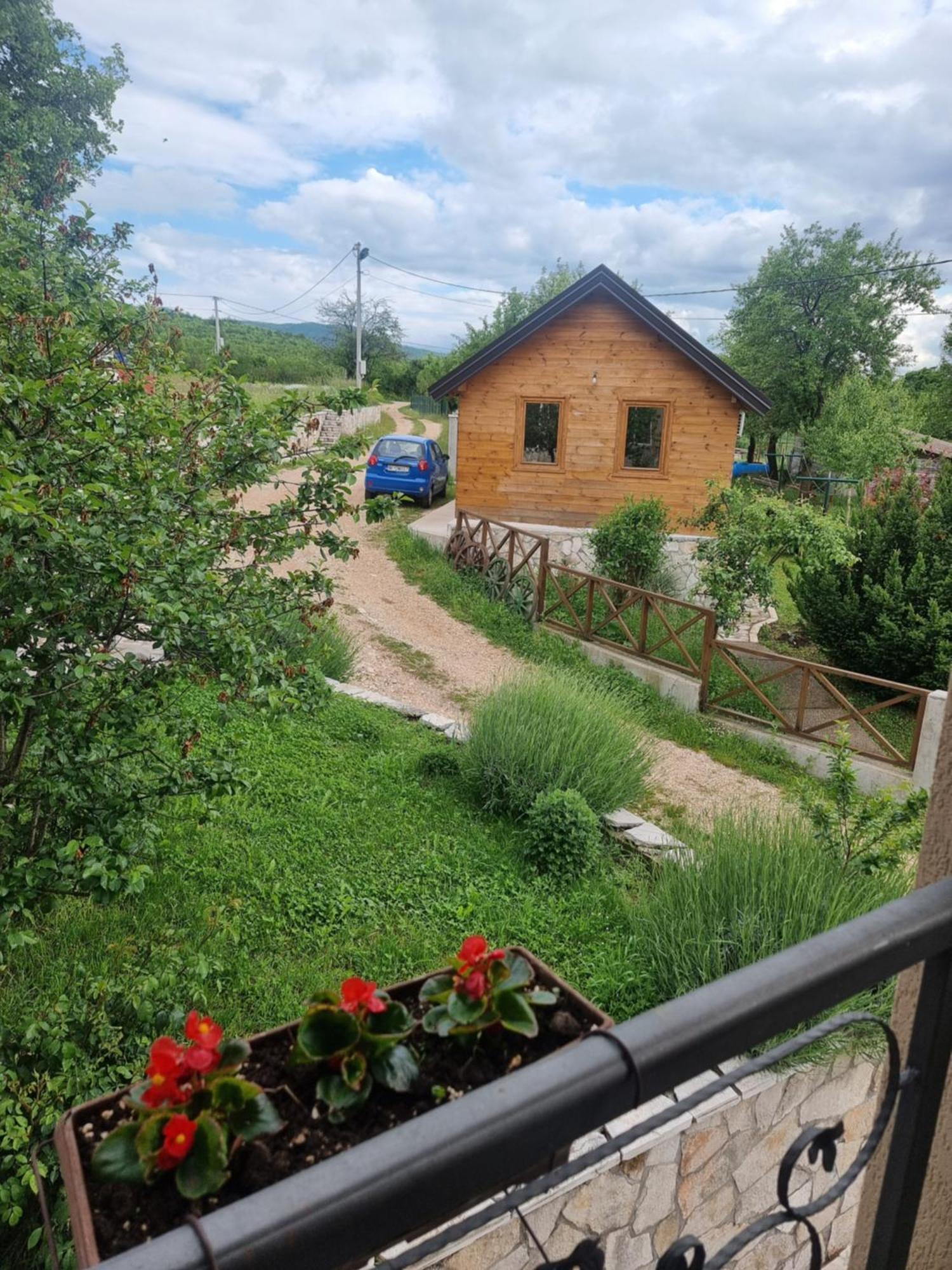 Maison d'hôtes Seosko Domacinstvo Ded Rados à Nikšić Extérieur photo